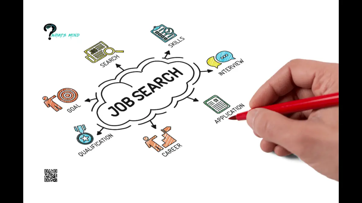 What Are The Different Job Categories At Jobdirecto